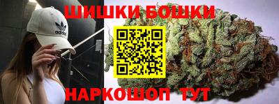 прущие грибы Камышлов