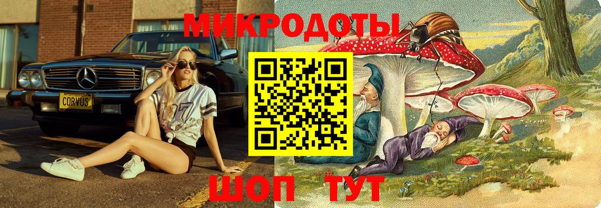 Псилоцибиновые грибы мицелий  Вход с VPN  Ленинск-Кузнецкий  Псилоцибиновые грибы Psilocybe 