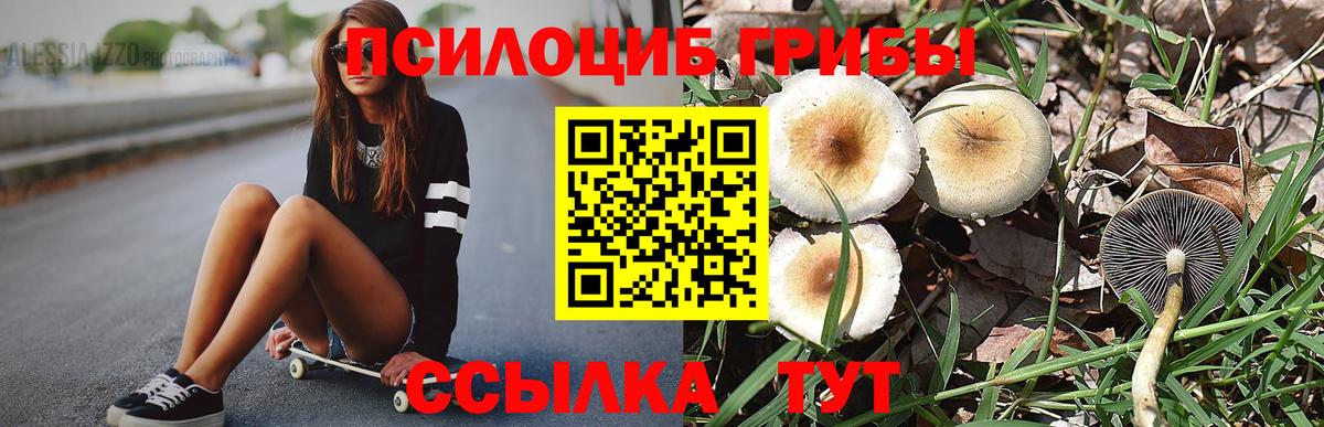 Галлюциногенные грибы Cubensis Ленинск-Кузнецкий
